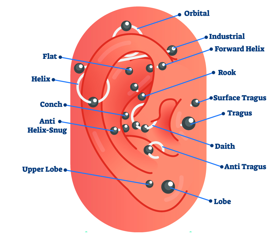 différents types et emplacmeents de piercing à l'oreille
