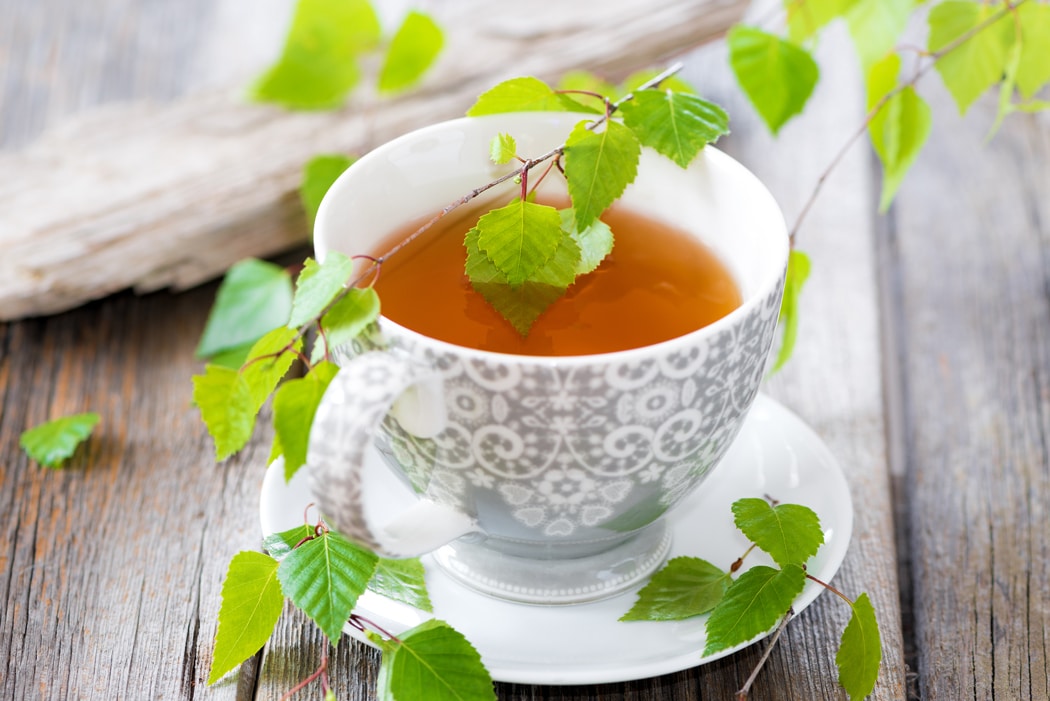 Le jus de bouleau en cure de détox (4)