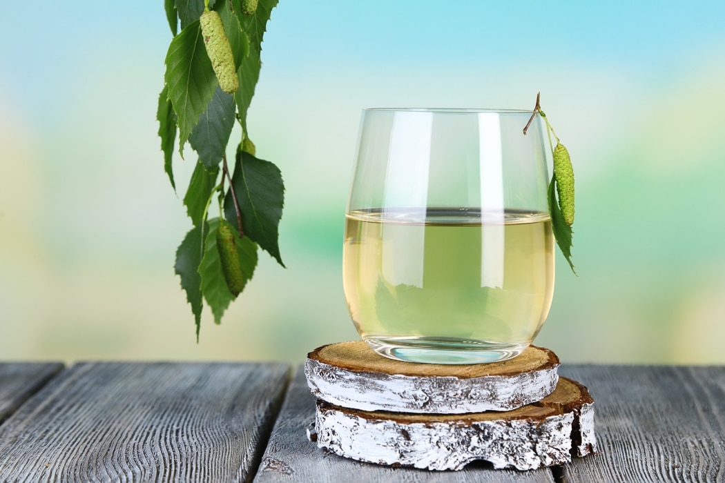 Le jus de bouleau en cure de détox (4)