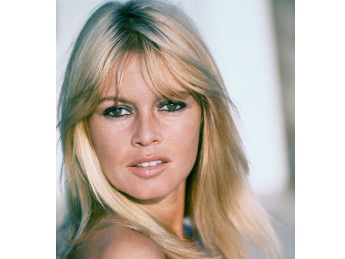 Brigitte Bardot icone mode