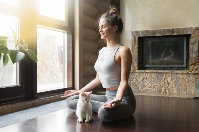 Pratiquer le yoga chez soi, le guide Pratiquer le yoga chez soi, le guide