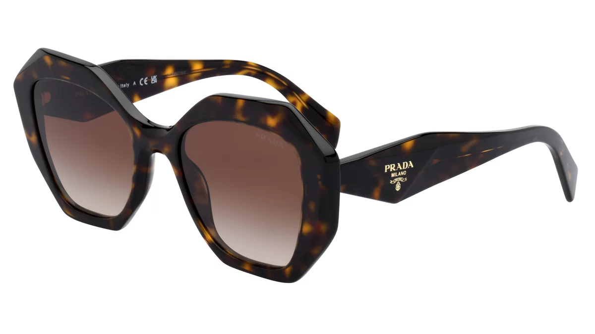 lunettes soleil haut de gamme